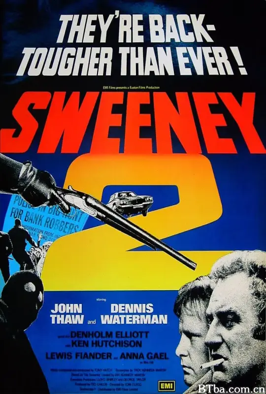 除暴安良2/Sweeney 2