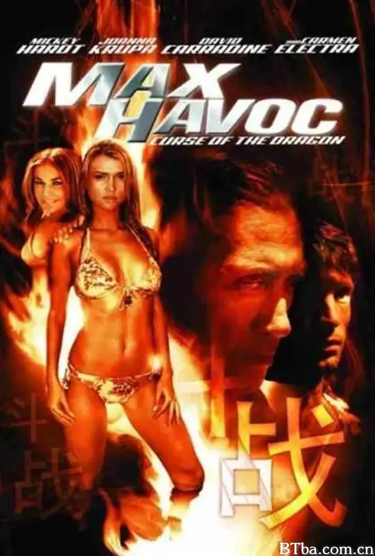 龙之诅咒/Max Havoc: Curse of the Dragon