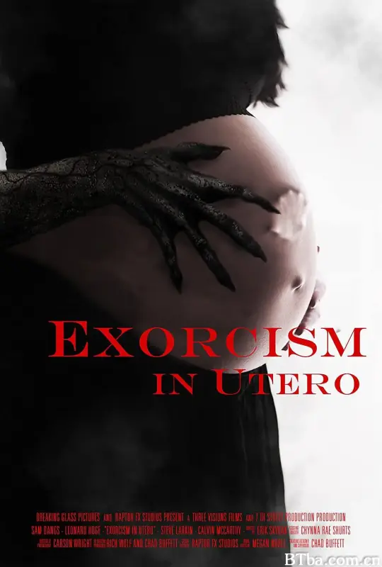 胎儿驱魔/Exorcism in Utero