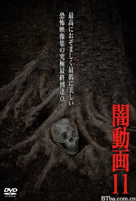黑暗视频11/闇動画11