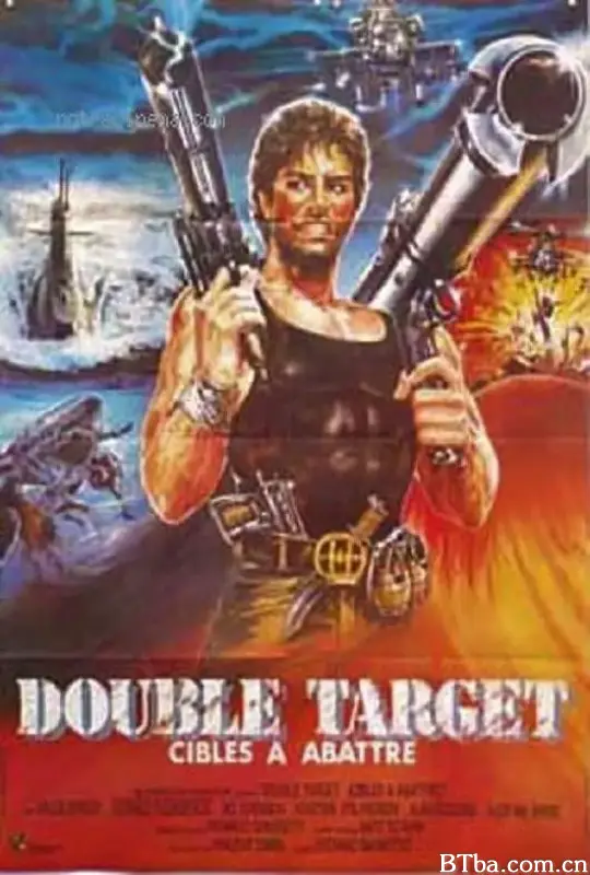 双重目标/Double Target
