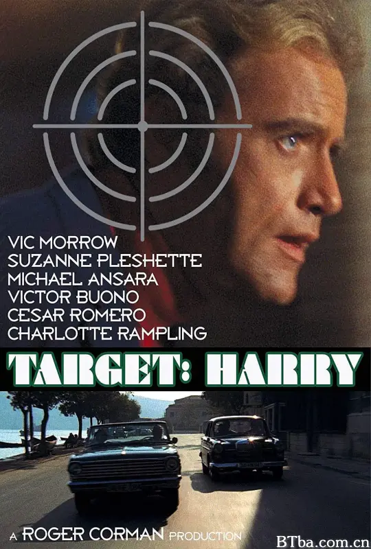 奇案大行动/Target: Harry