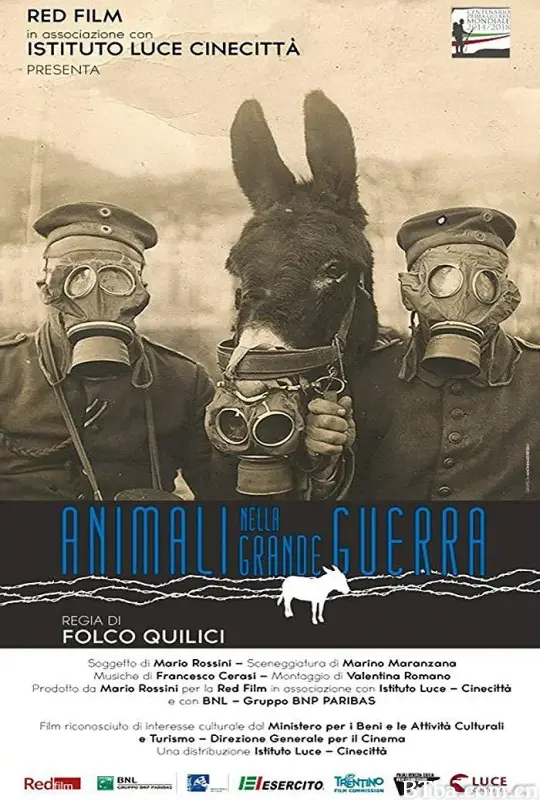 战争中的动物/Animali nella Grande Guerra