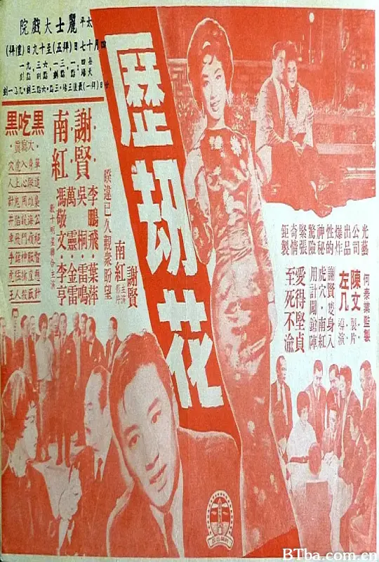 历劫花 歷劫花 (1963) 1080P/WEB-DL BT磁力 迅雷网盘下载