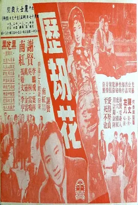 历劫花/歷劫花