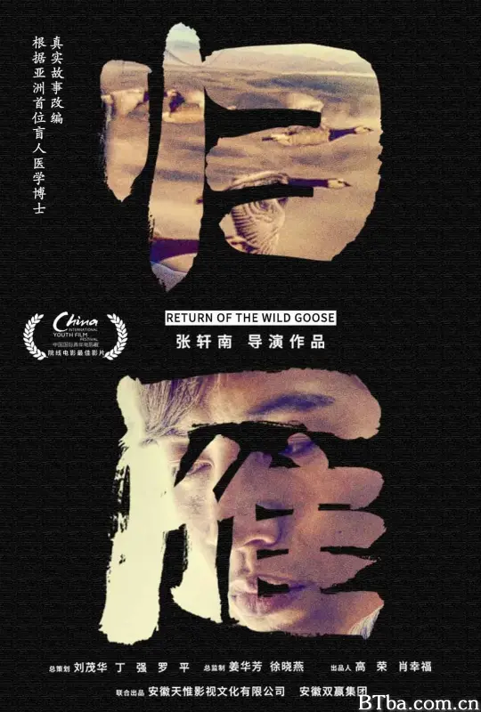归雁 (2019) 4K/WEB-DL BT磁力 迅雷网盘下载