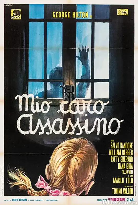 亲爱的杀手/Mio Caro Assassino
