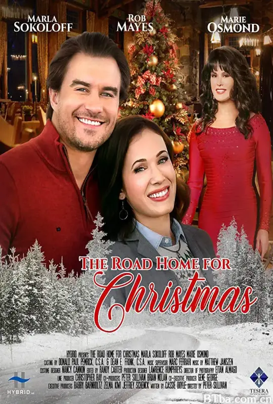 圣诞归途/The Road Home for Christmas