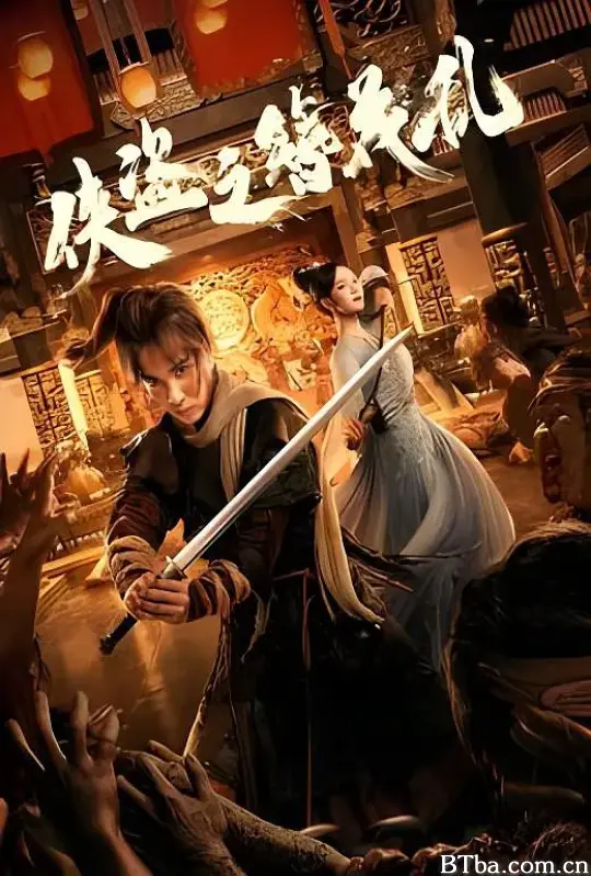 侠盗之簪花乱