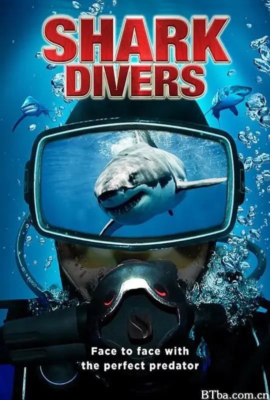 与鲨共舞/Shark Divers