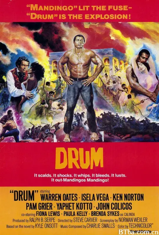 神龙猛丁哥/Drum