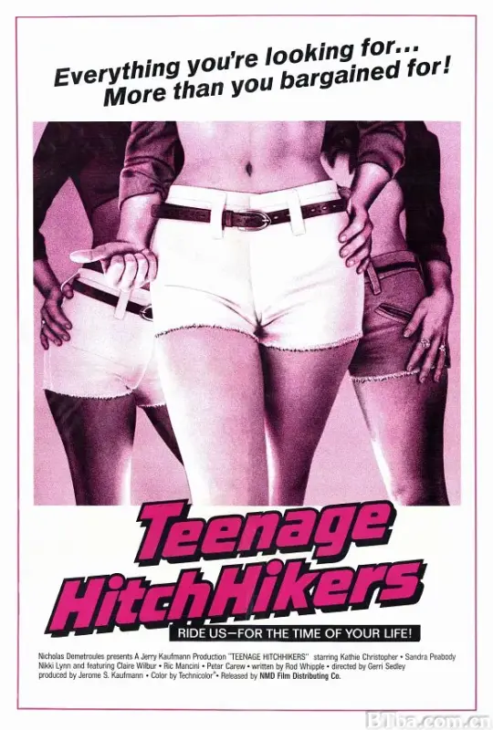 徒步旅行少女/Teenage Hitch-hikers