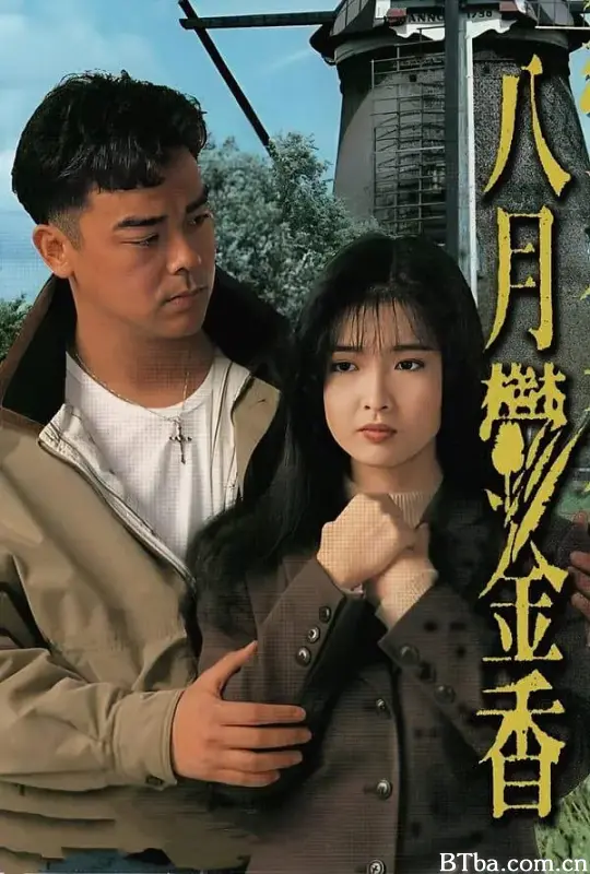 八月鬱金香/八月郁金香