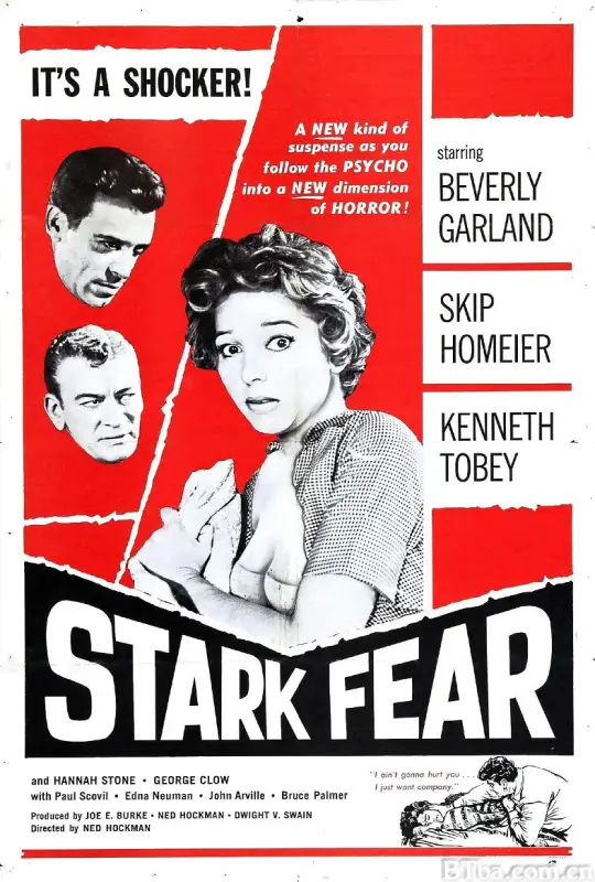 极度恐惧/Stark Fear