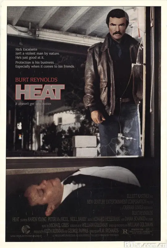 怒火保镖/Heat