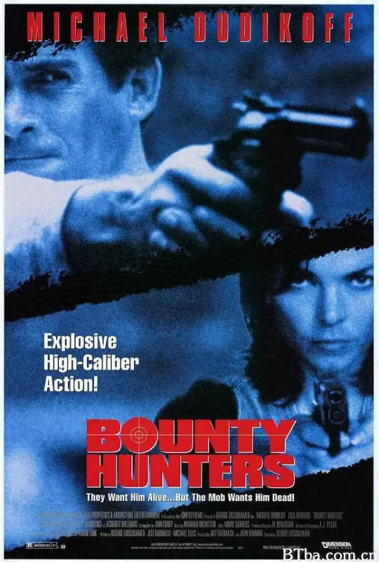 金刚猎鹰/Bounty Hunters