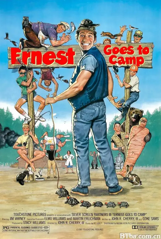 疯狂反斗营/Ernest Goes to Camp