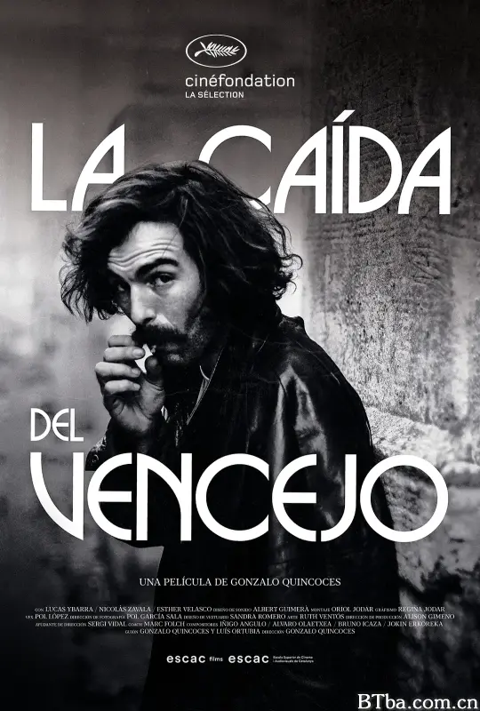 疾速的陨落/La caída del vencejo