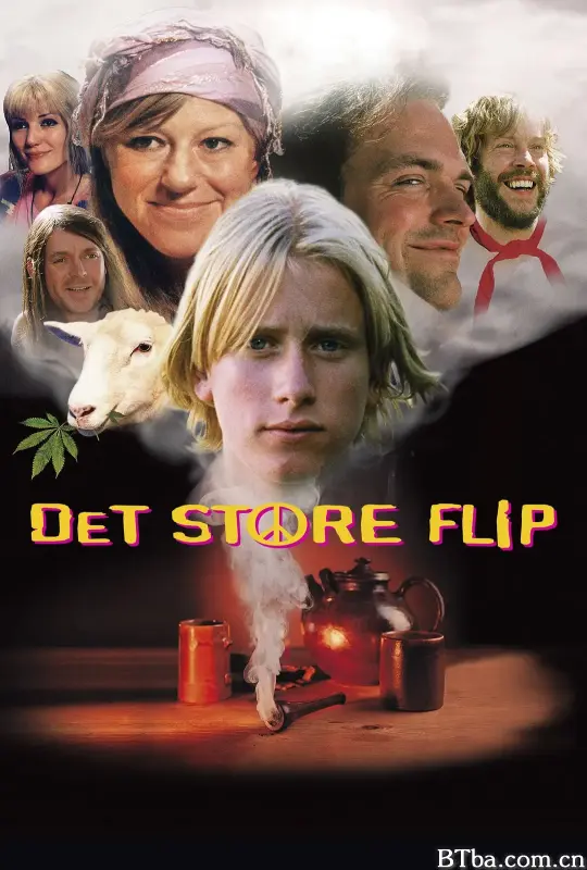 Det Store Flip