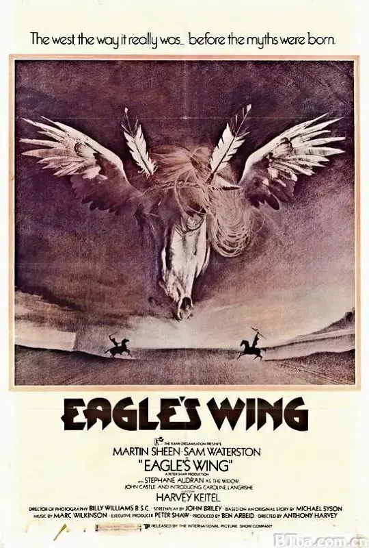飞鹰展翅/Eagle's Wing