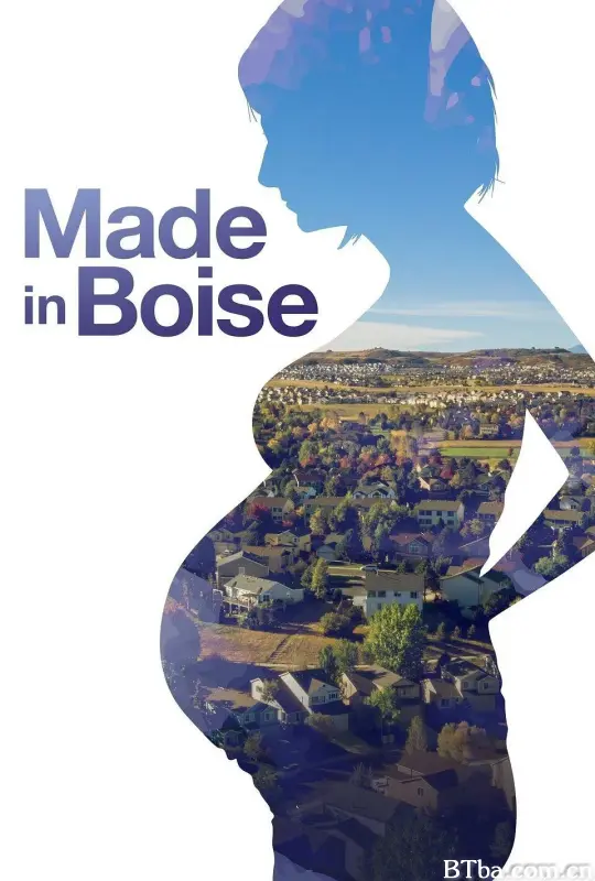 博伊西制造/Made In Boise