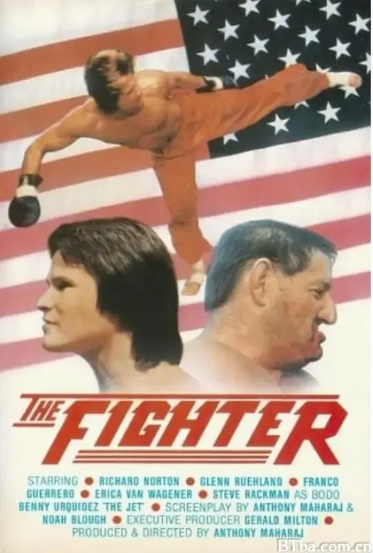 战斗机/The Fighter