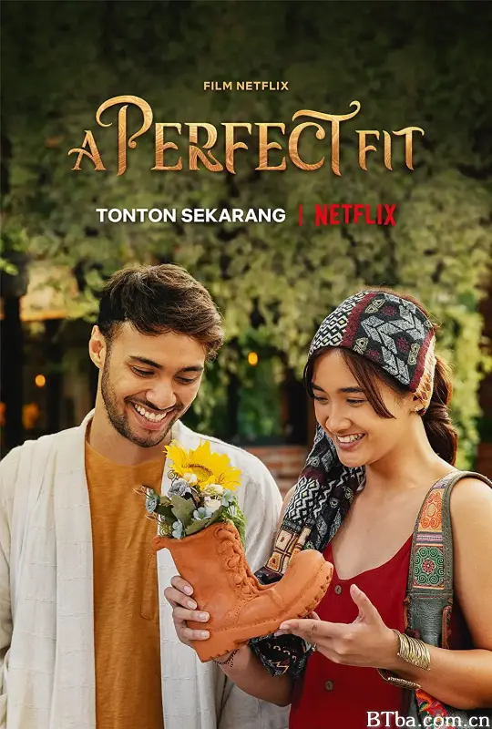 佳履奇缘/A Perfect Fit