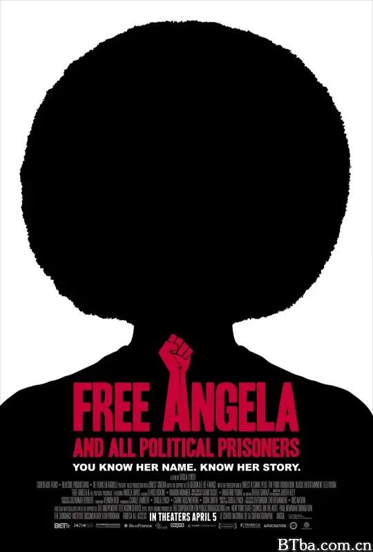 释放安吉拉和所有政治犯/Free Angela & All Political Prisoners