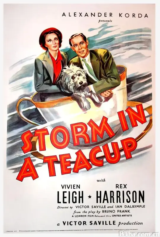 茶杯里的风暴/Storm in a Teacup