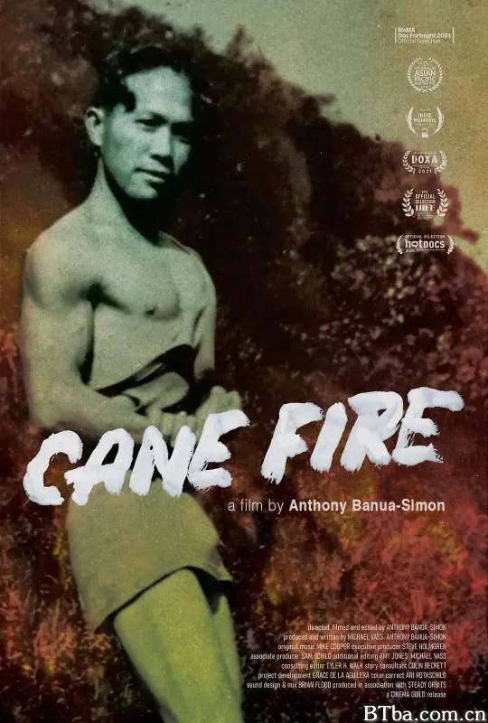 甘林之火/Cane Fire