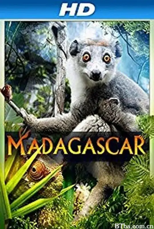 马达加斯加 3D/Madagascar 3D
