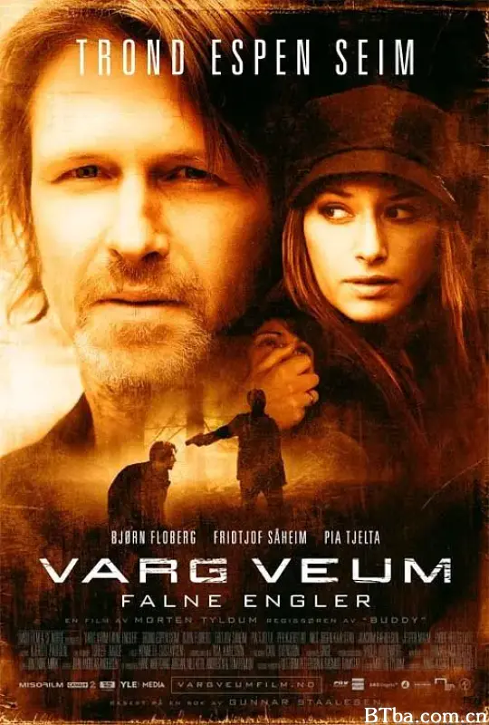 堕落的天使/Varg Veum - Falne engler