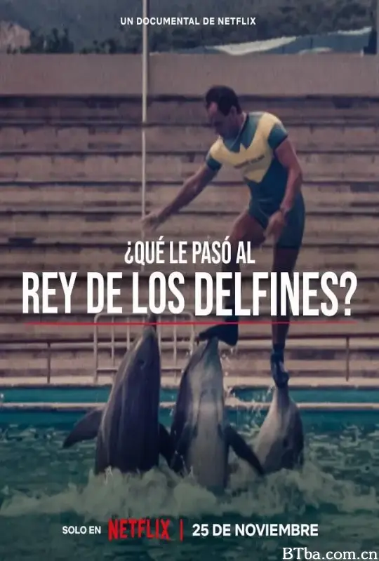 海豚王之死/¿Qué le pasó al rey de los delfines?