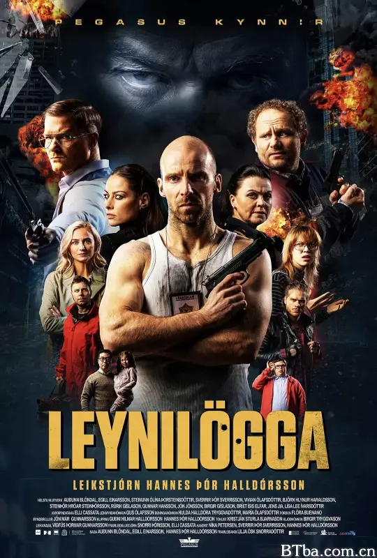 特警秘恋/Leynilögga