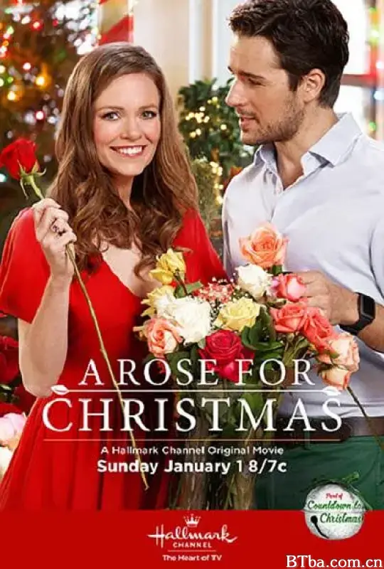 玫瑰圣诞情缘/A Rose for Christmas