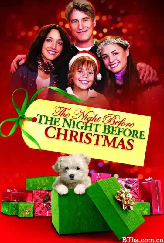 圣诞前夜/The Night Before the Night Before Christmas