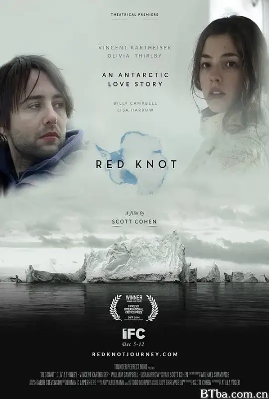 红腹滨鹬号/Red Knot