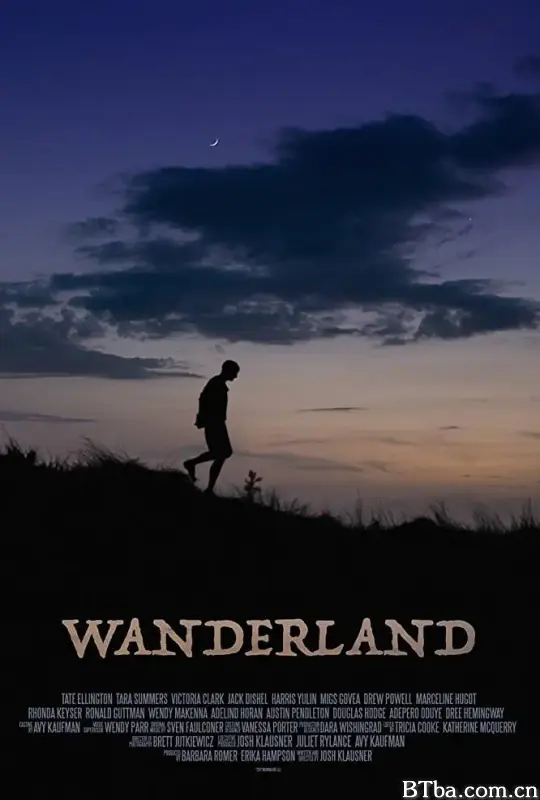 漫游国度/Wanderland