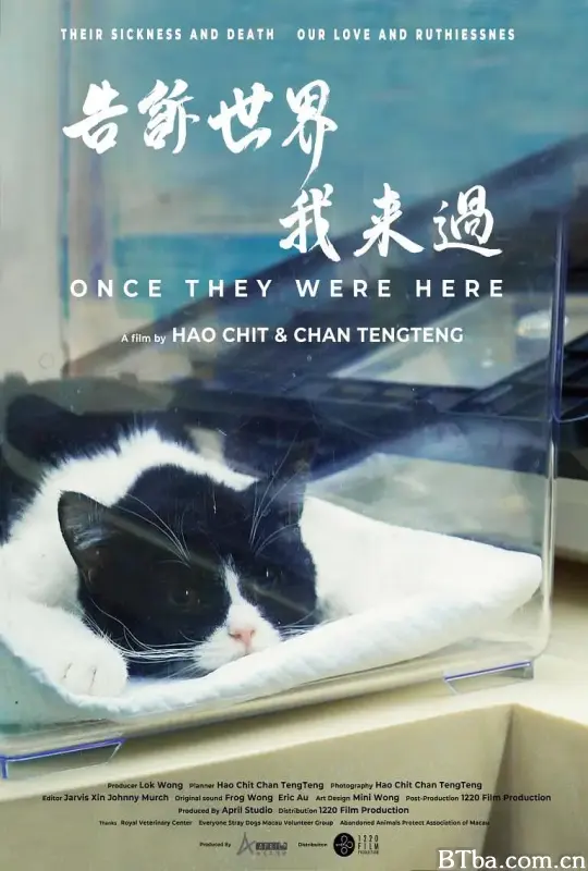 告诉世界我来过/告訴世界我來過