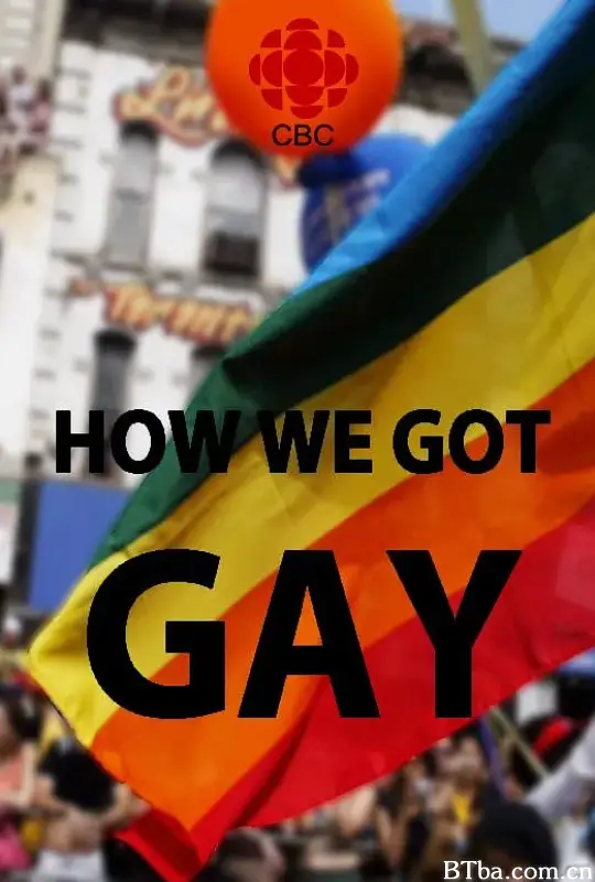 何以志同/How We Got Gay