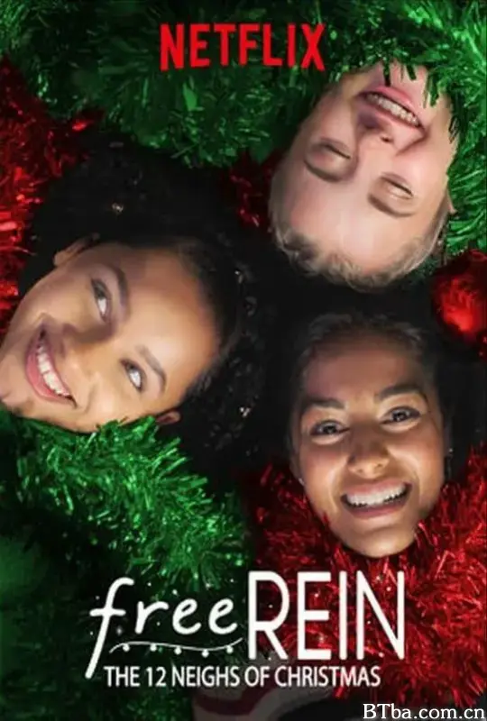 自由之缰:圣诞夜的马叫/Free Rein: The Twelve Neighs of Christmas