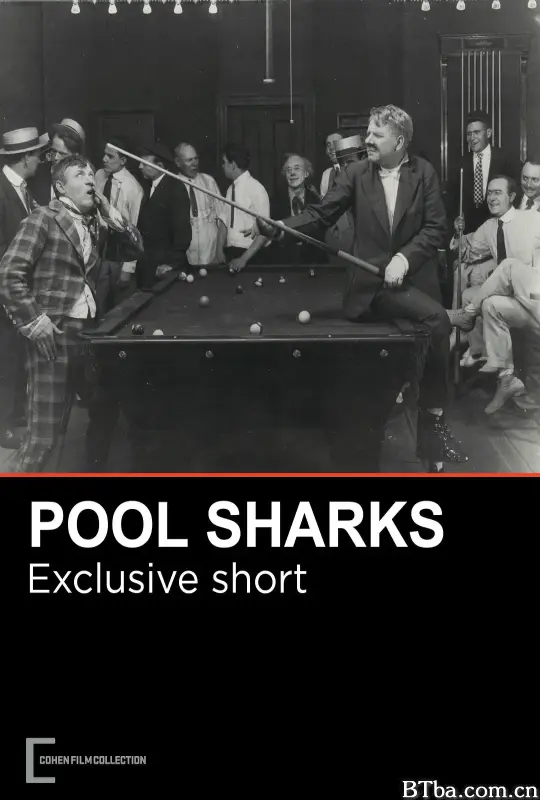 鲨鱼池/Pool Sharks