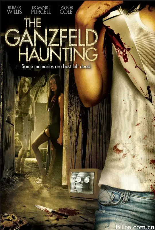 甘兹菲尔德闹鬼事件/The Ganzfeld Haunting