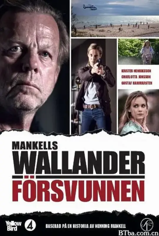 沃兰德探长系列：消失/Wallander: Försvunnen