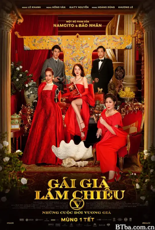 剩女大作战第五部/Gái già lắm chiếu V