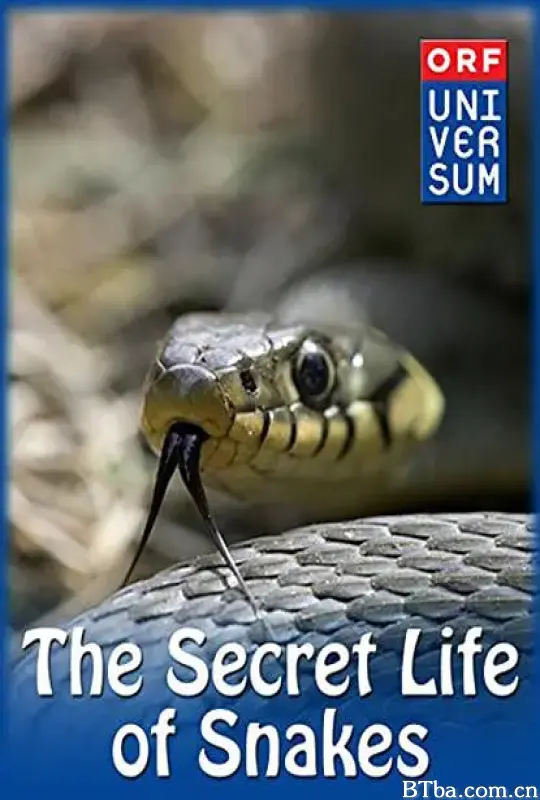 蛇的秘密生活/The Secret Life of Snakes