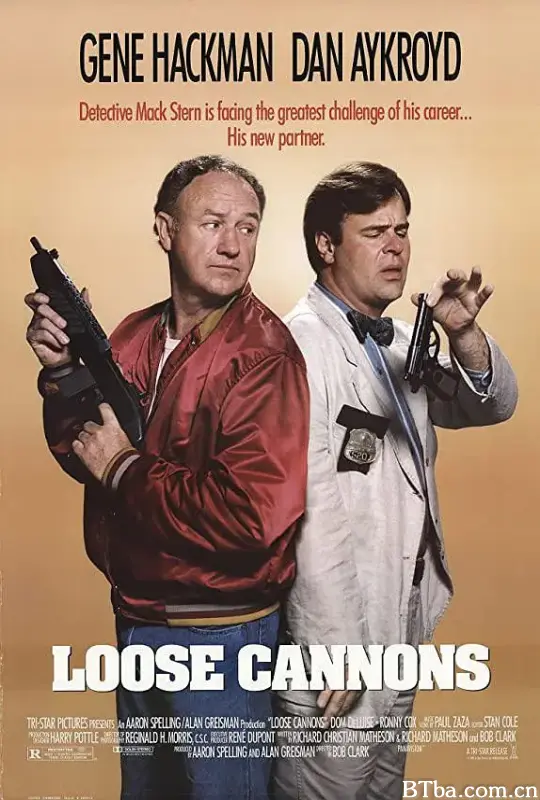 冤家神探/Loose Cannons