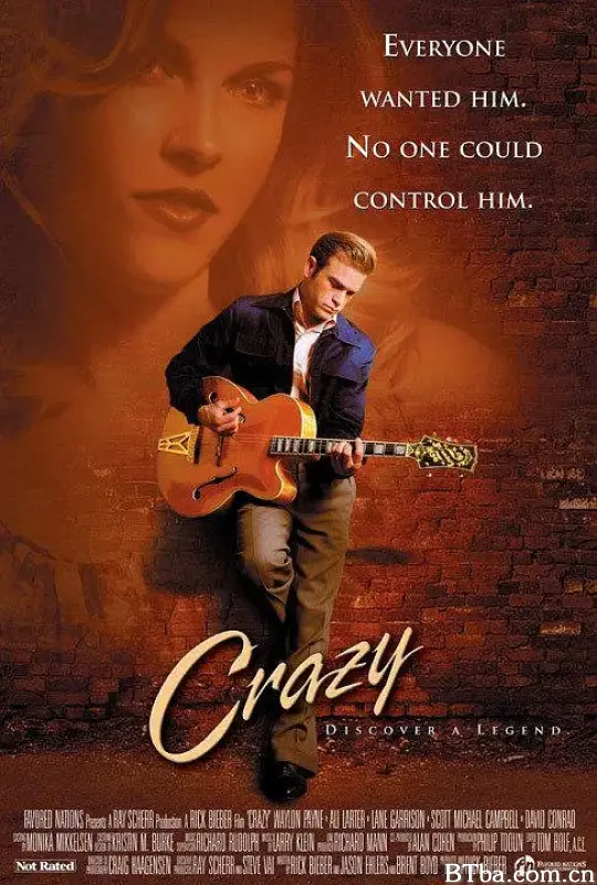 疯狂音乐家/Crazy