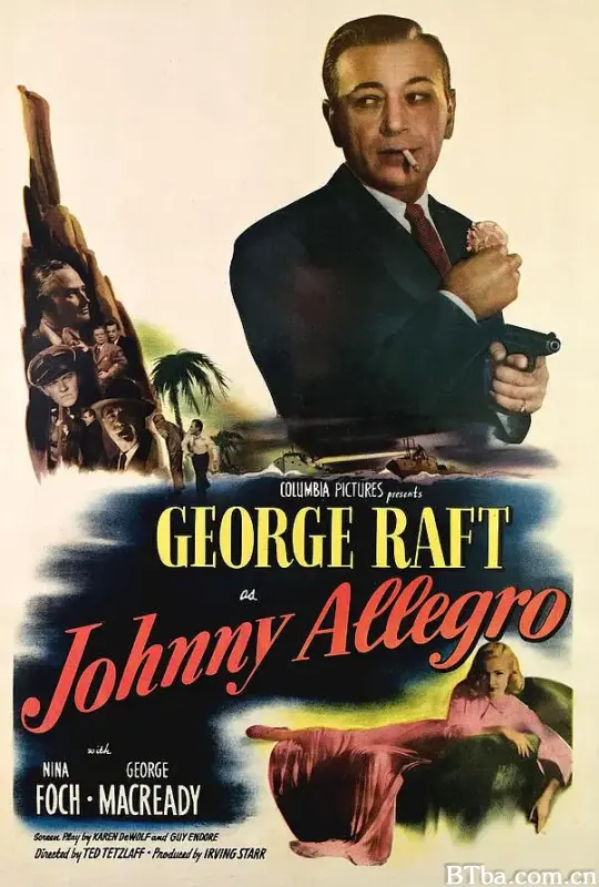 虎穴歼仇/Johnny Allegro