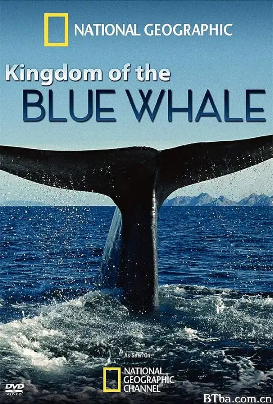蓝鲸王国/Kingdom of the Blue Whale